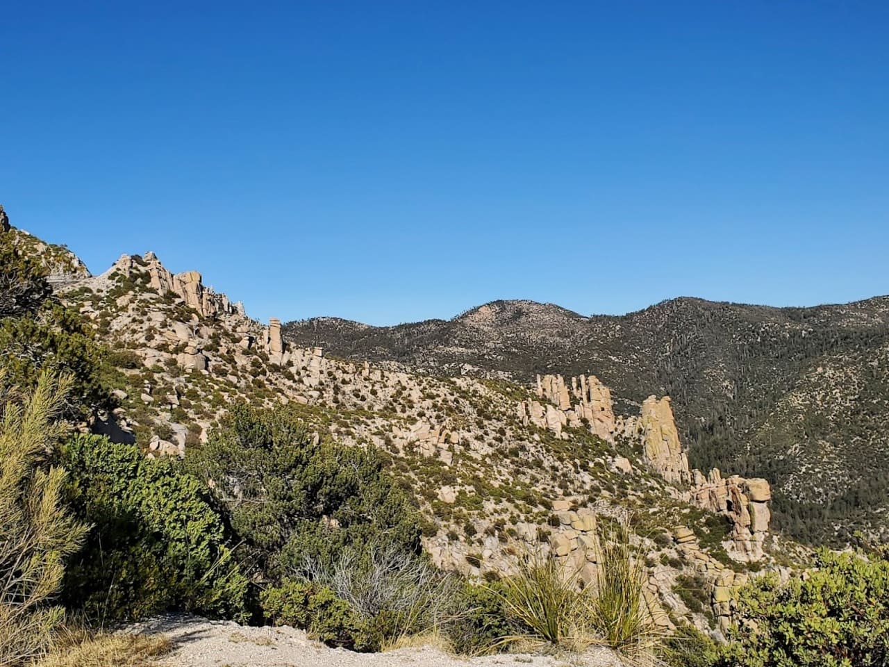 Hoodoo Vista
