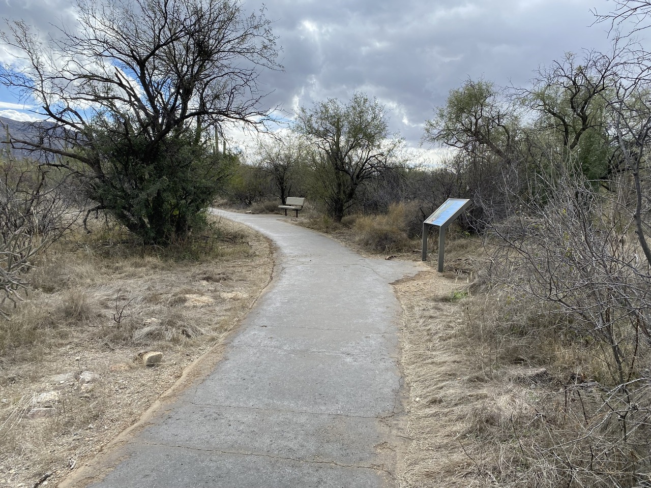 Desert Ecology Trailhead (Saguaro East) - Photo by NPS, Public Domain