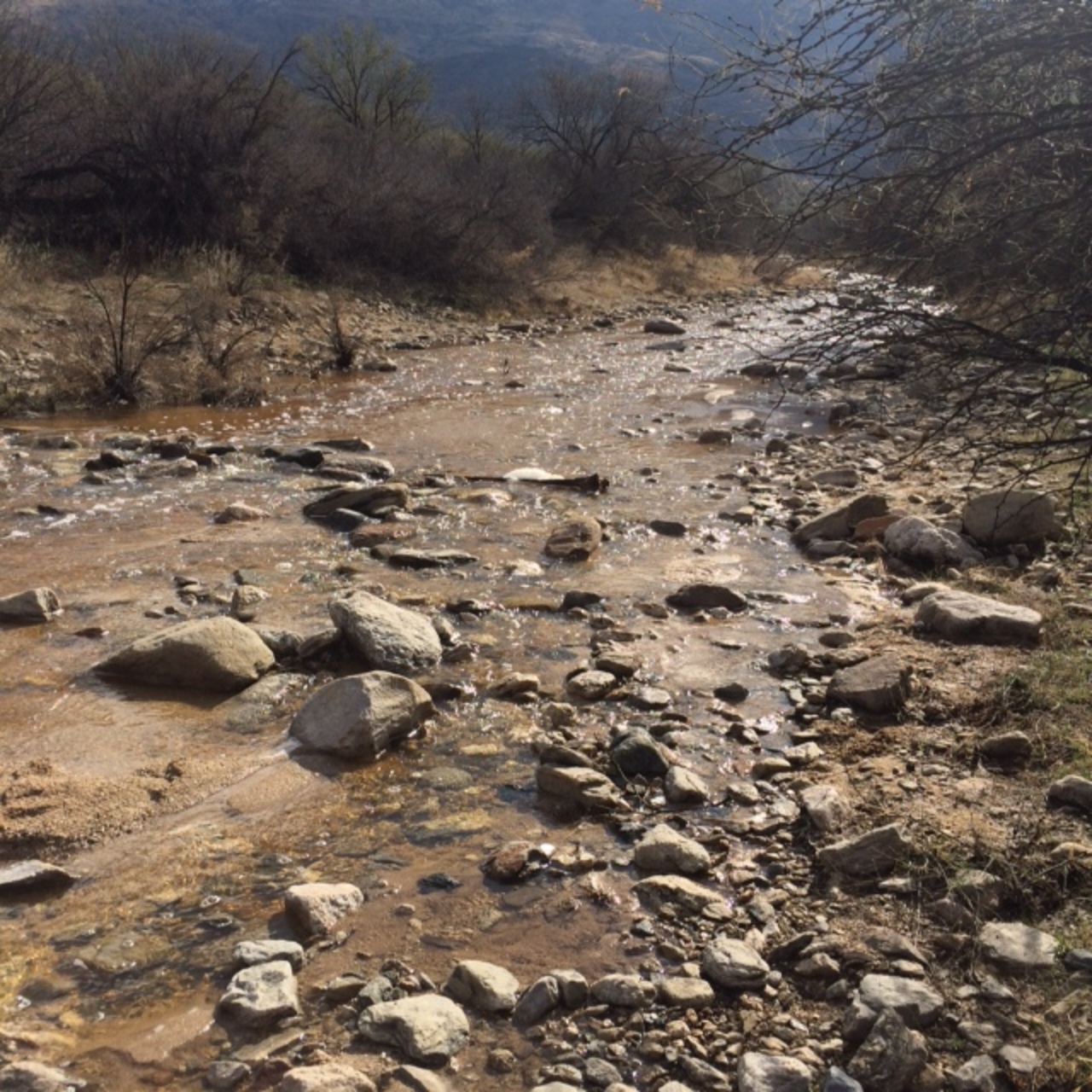 Loma Verde Trailhead (Saguaro East) - Photo by NPS-Ryan Summers, Public Domain